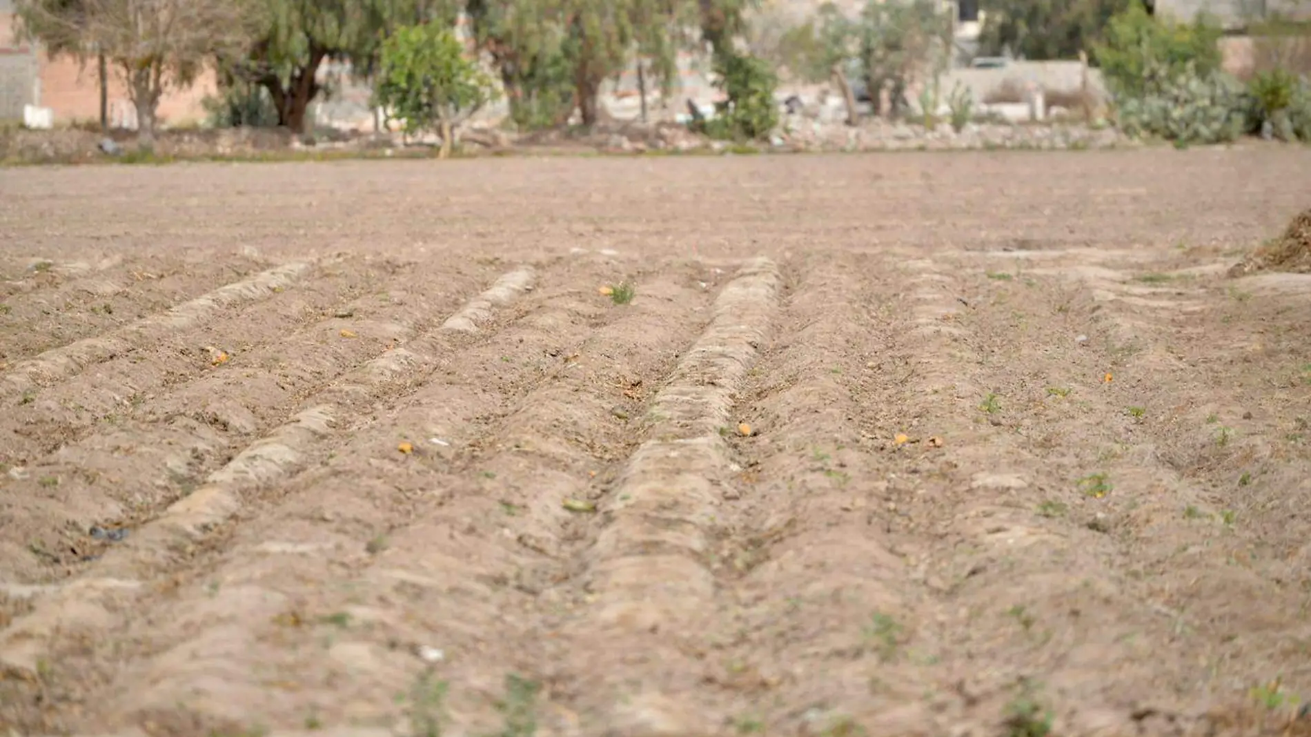 Sequía, agricultores (1)